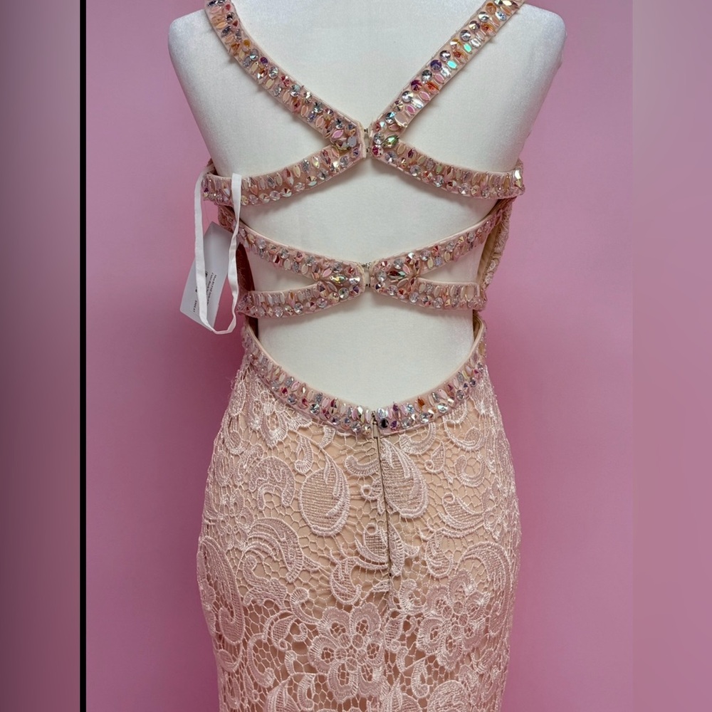 Stunning Lace Evening Gown - Picture 10 of 16